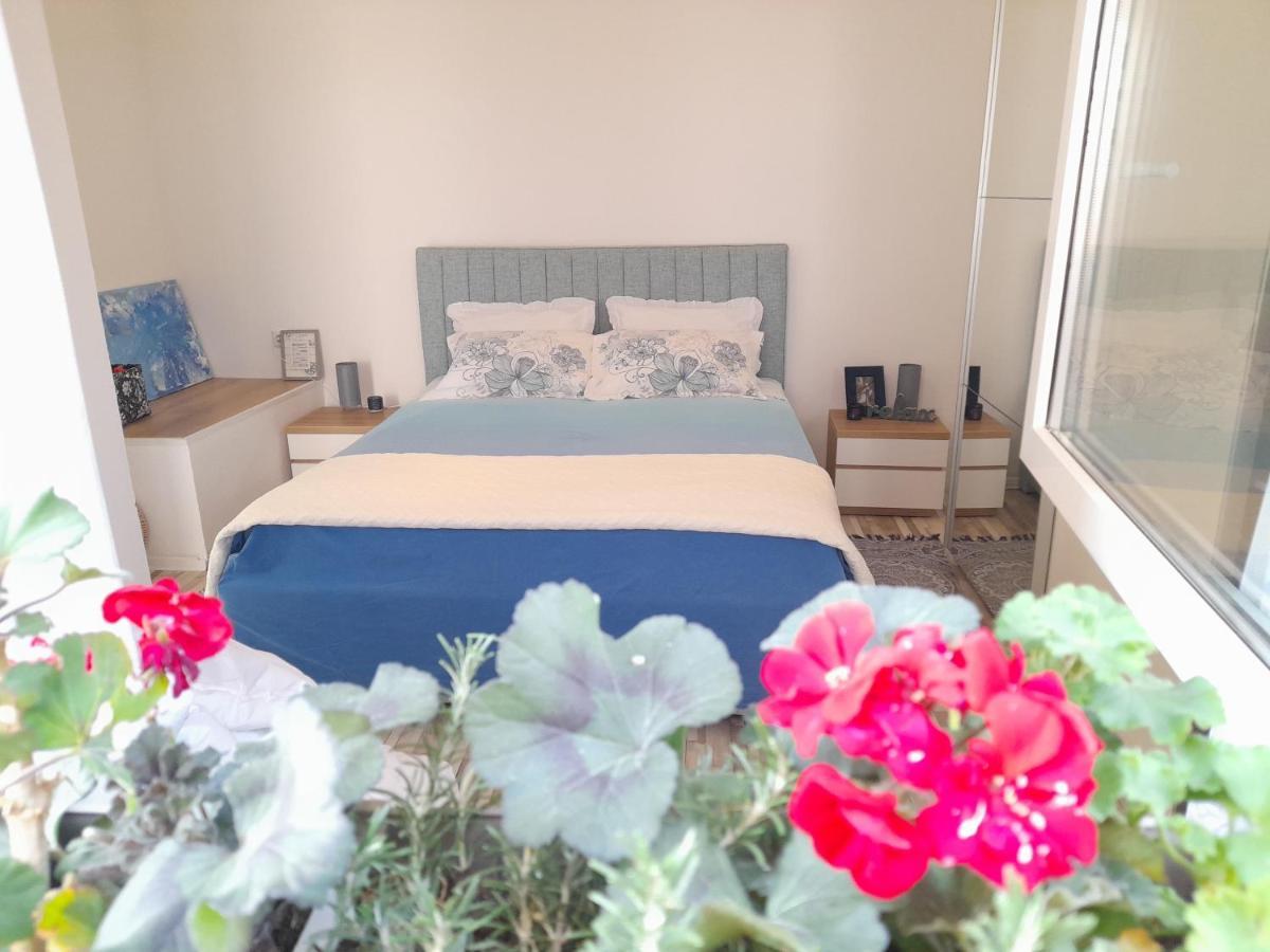 Apartamento Nautica Free Parking Šibenik Exterior foto